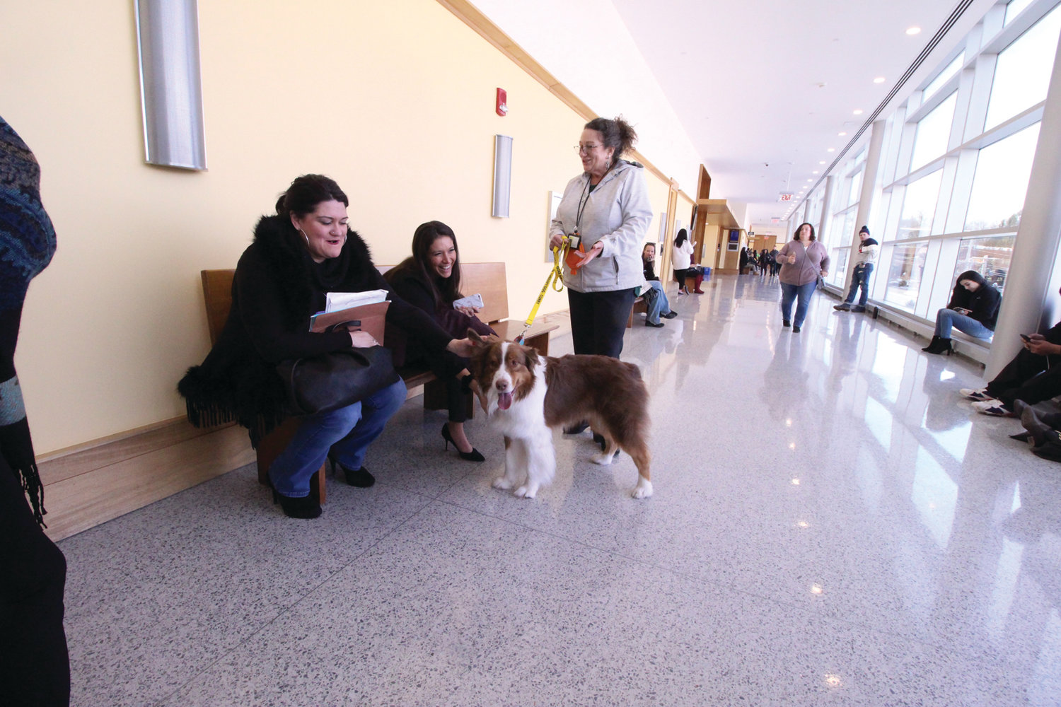 MAKING FRIENDS: Curry makes friends with one of the many people waiting in the corridor to Family Court as Judy Van-Wyk looks on.